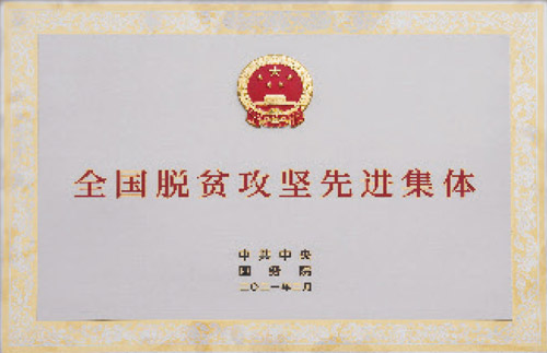 全国脱贫攻坚先进集团