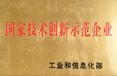 国家技术创新示范企业